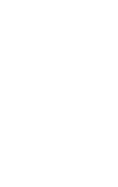 Logo - Schartner Bombe