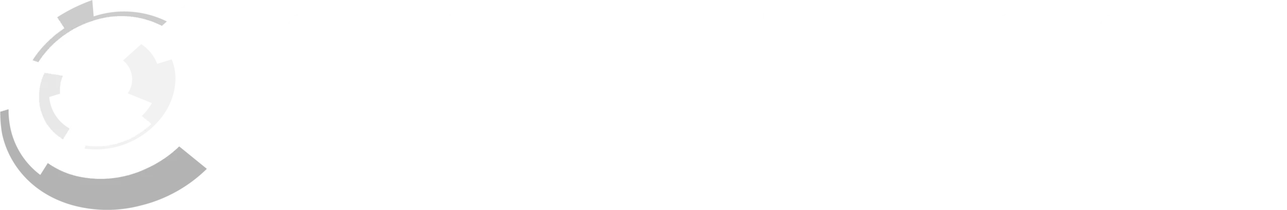Stranzinger Logistik Logo transparent