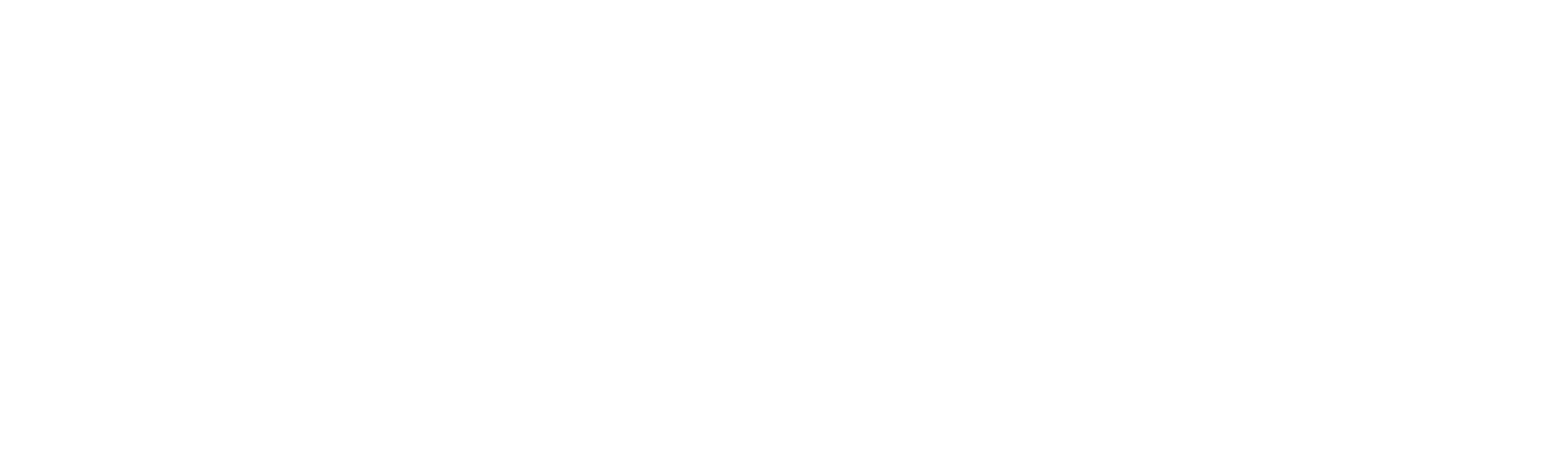 Berufsfachschule Vilshofen Logo weiß